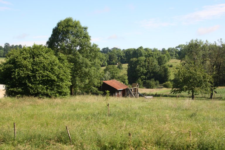 uitzicht vanuit huis en terras voor
