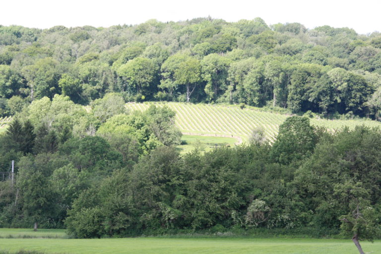 Wijndomein Crutzberg